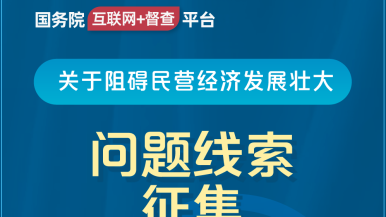 美女成人肏屄视频国务院“互联网+督查”平台公开征集阻碍民营经济发展壮大问题线索